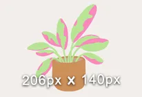 گیاهان آپارتمانی